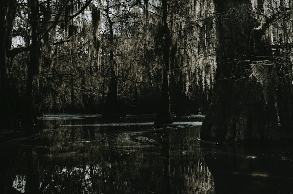 The Supernatural Element of Louisiana's Culture