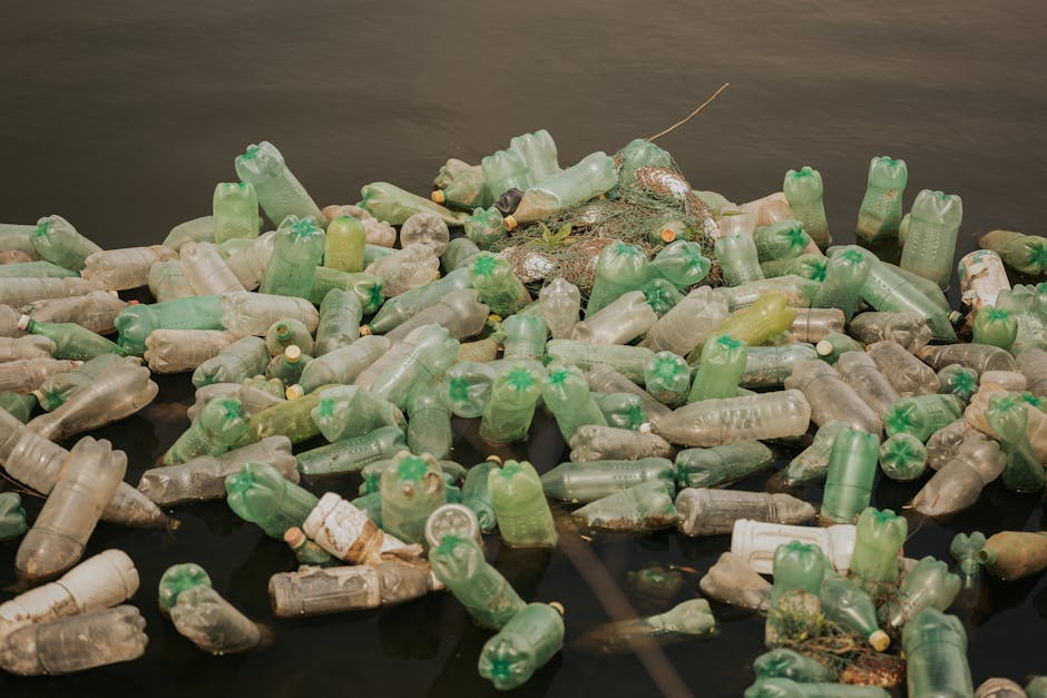 Challenges of Cleanup and Remediation (image credits: pexels)