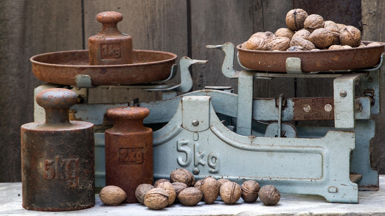 Libra: The Conflict-Avoiding Peacekeeper (image credits: pixabay)