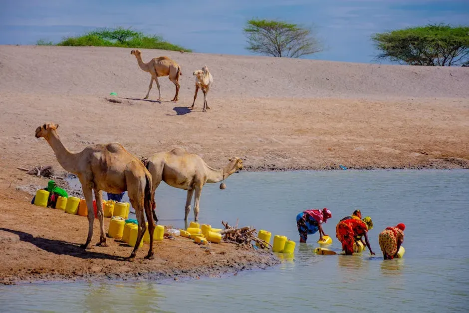 The Scale of Global Water Stress Today (Image Credits: Pexels)