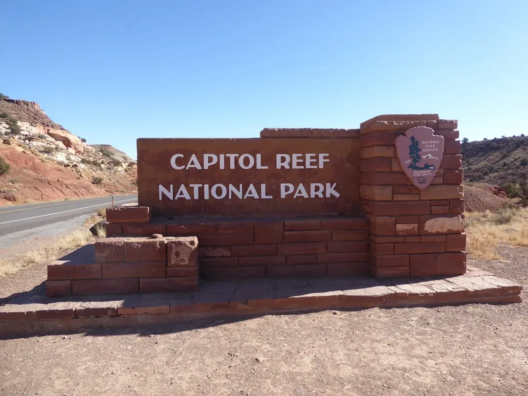 Hunt for Free Entrance Days (Image Credits: Unsplash)