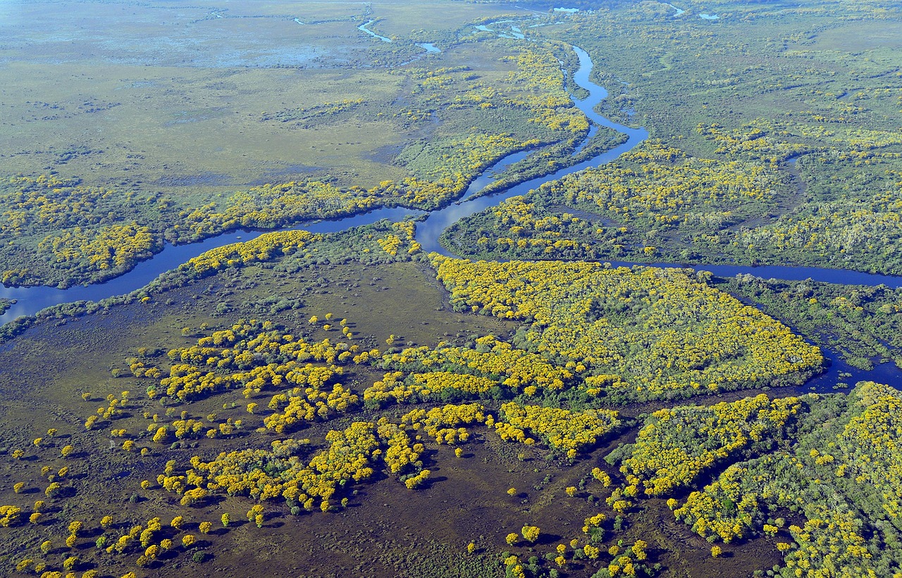 Environmental Consequences (image credits: pixabay)