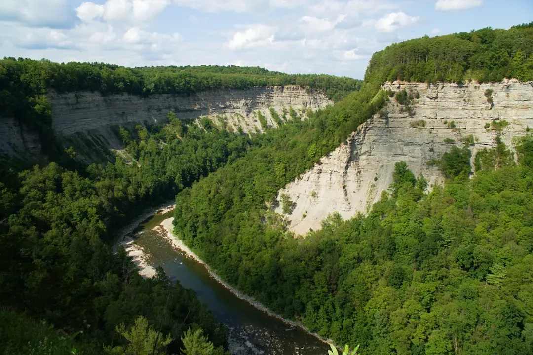 Letchworth State Park, New York (Image Credits: Unsplash)