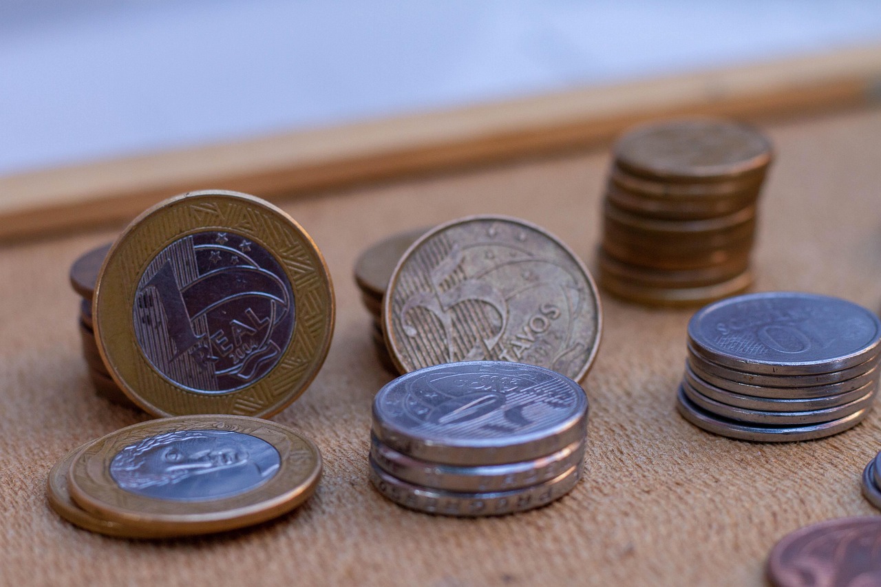 Economic Inequality and Minimum Wage: The Living Standards Gap (image credits: pixabay)