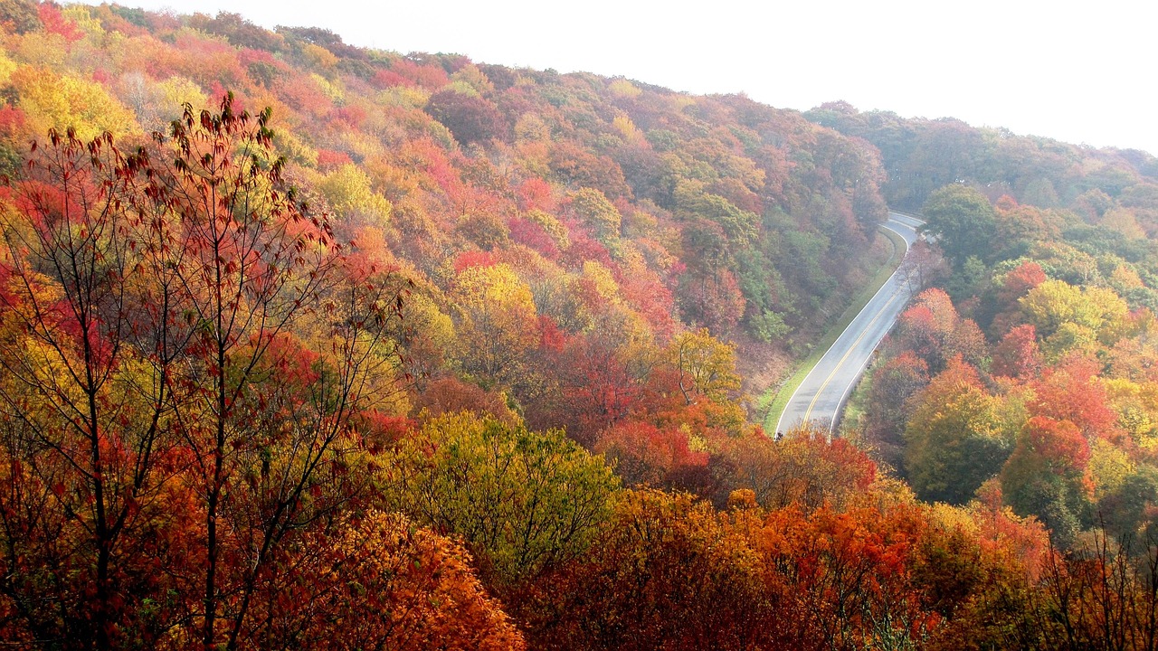 North Carolina: Industries and Innovation (image credits: pixabay)