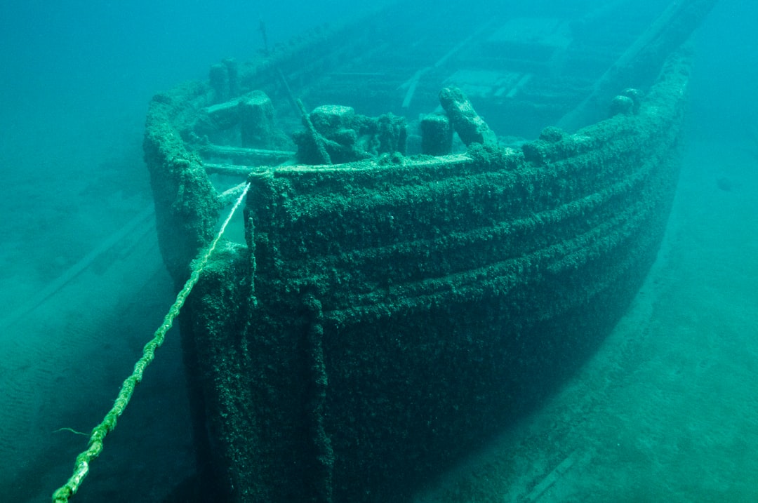 The Science Behind Underwater Preservation (image credits: unsplash)