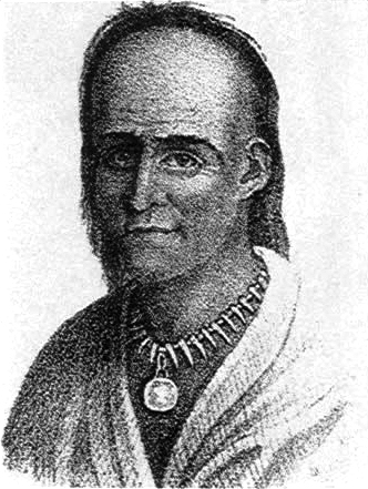 Little Turtle: The Diplomatic Warrior Who Balanced Resistance and Cooperation (image credits: wikimedia)