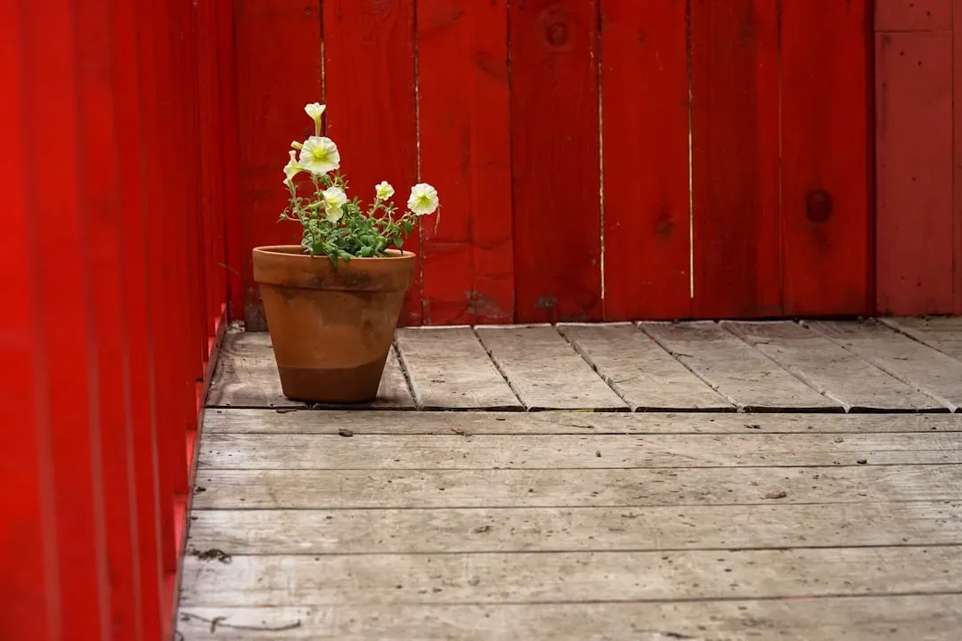 Porches and Similar Structures Use Varied Labels (Image Credits: Unsplash)