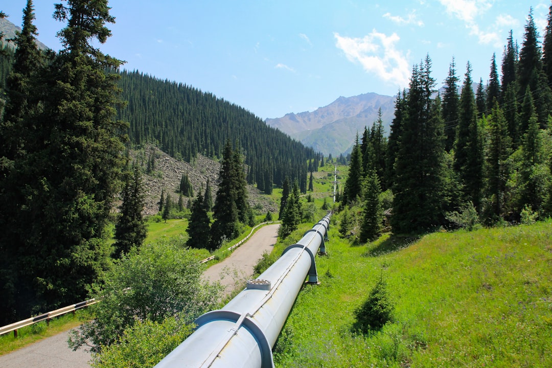 The Natural Gas Pipeline Dream (image credits: unsplash)