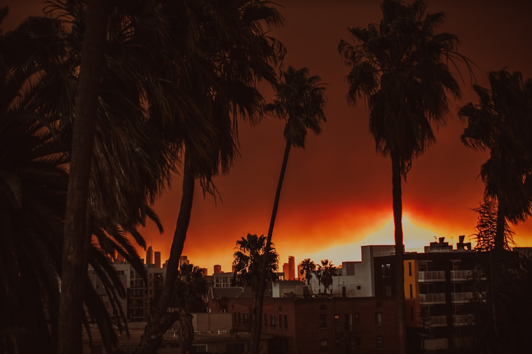 California: Fire, Drought, and Fault Lines (image credits: unsplash)