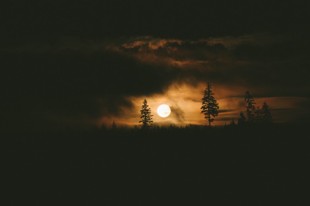 The Science Behind Alaska's Endless Daylight (image credits: unsplash)