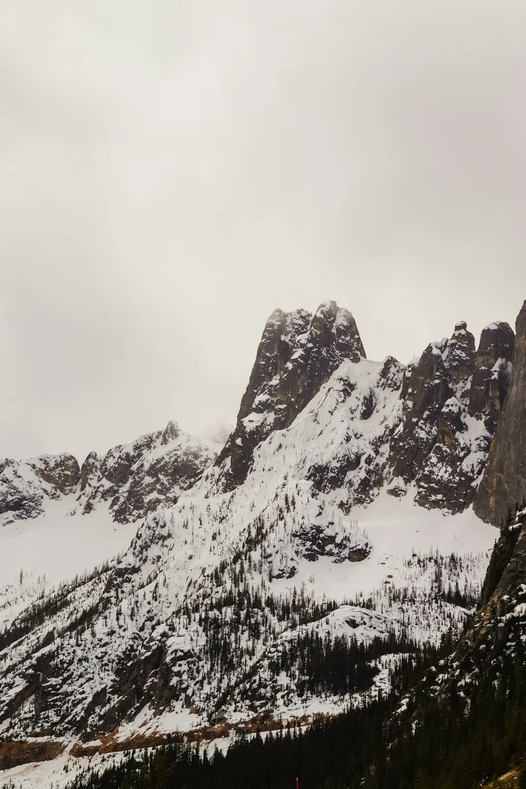 North Cascades National Park: Buried Under a World of Snow (Image Credits: Unsplash)