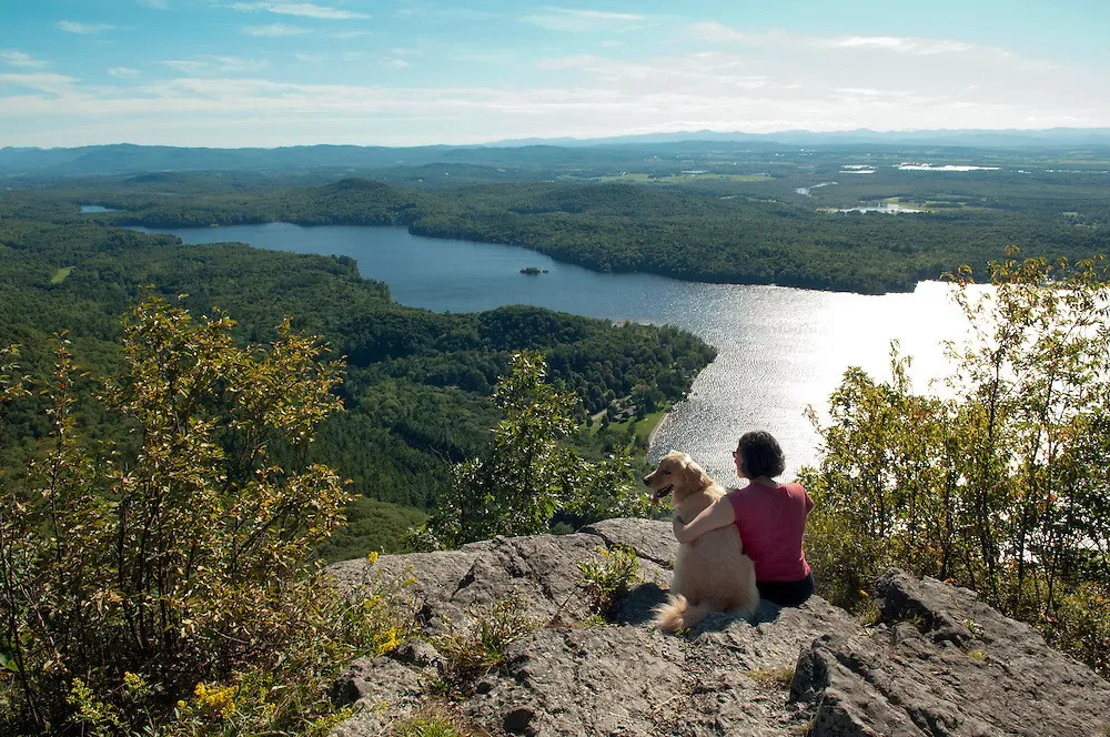 9. Rattlesnakes: Stay Calm, Stay Back, Stay Safe (Image Credits: Flickr)