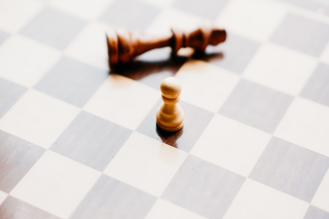 Capricorn: The Strategic Mastermind (image credits: unsplash)