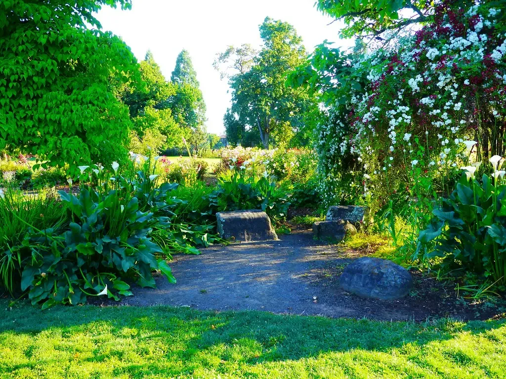 Looking Forward by Growing Backward (Image Credits: Flickr)