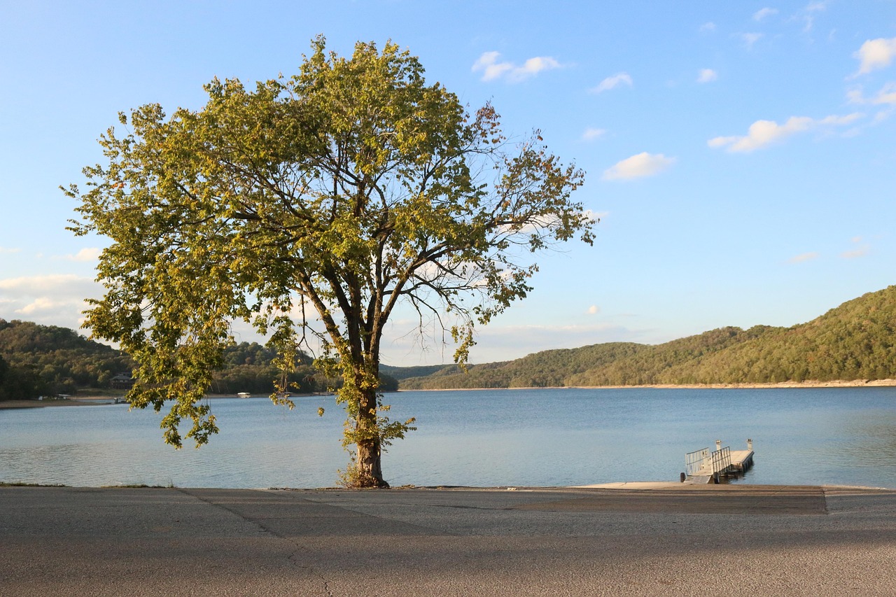 How a French Tourist Struck It Rich in Arkansas (image credits: pixabay)