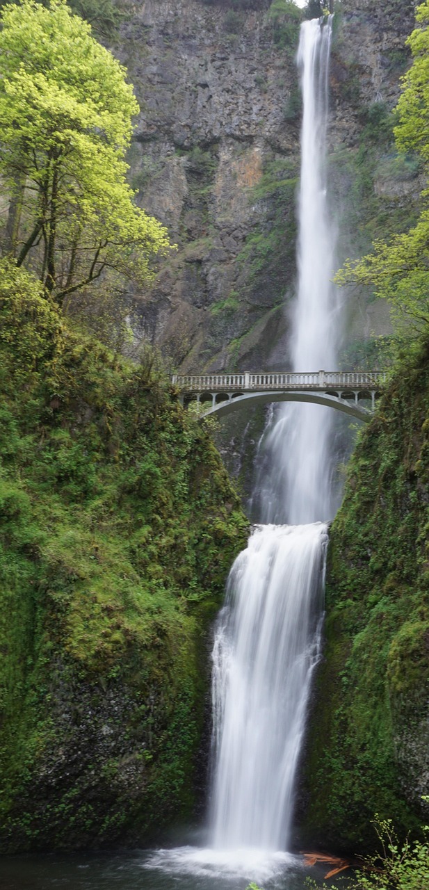 The Columbia River Gorge - Oregon's Waterfall Therapy (image credits: pixabay)