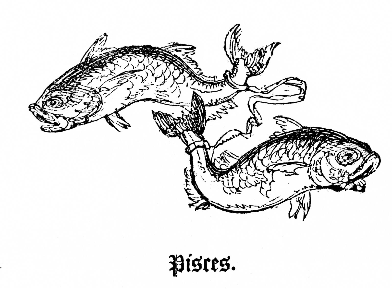 Pisces: Neptune's Final Dance Before New Beginnings (image credits: By William Hone, Public domain, https://commons.wikimedia.org/w/index.php?curid=2430965)