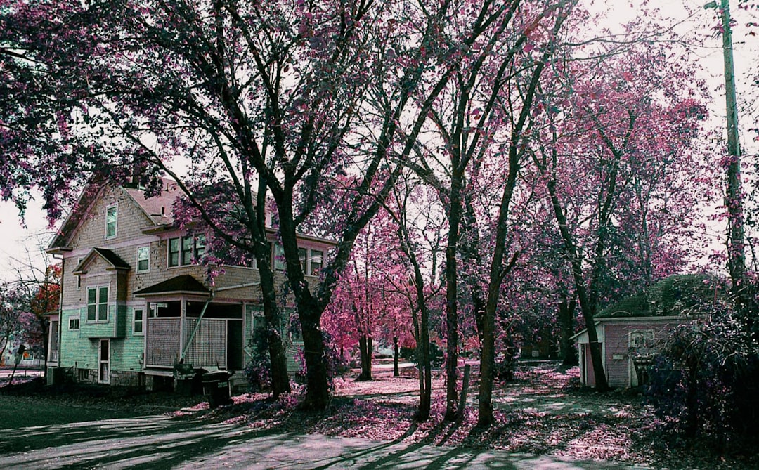 The Sacking of Lawrence, Kansas – America's Bloodless Rehearsal for Civil War (image credits: unsplash)