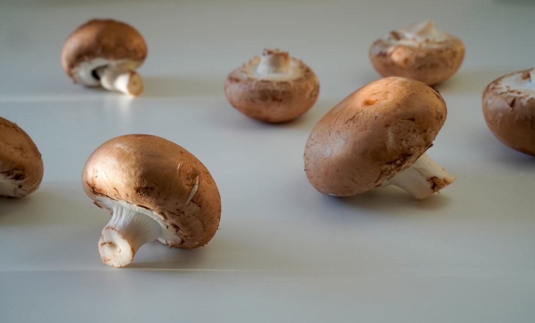 Mushrooms: The Protein Breakdown That Creates Toxins (image credits: unsplash)