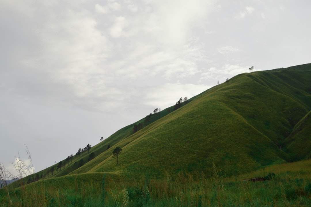 Angel Mounds: Indiana's Mississippian Trading Center (image credits: unsplash)
