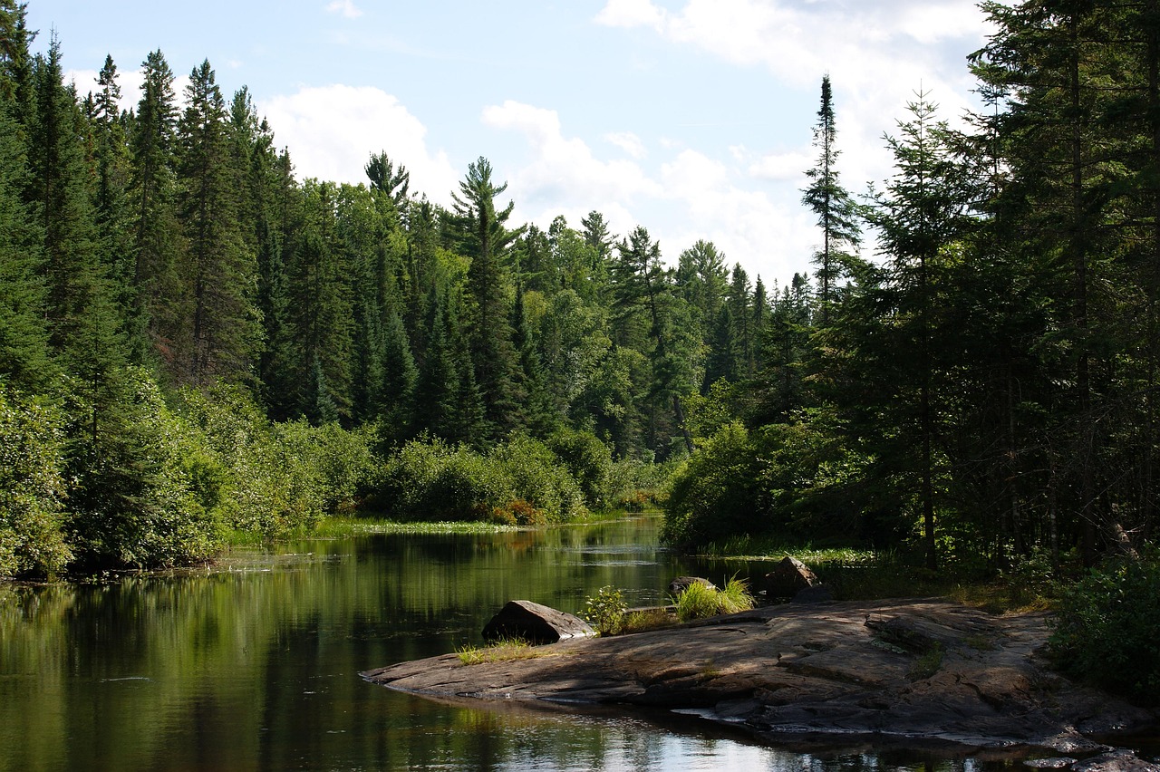 Algonquin Provincial Park, Ontario (Cross-Border Access) (image credits: pixabay)