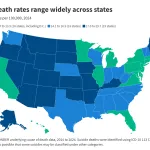 Suicide Deaths: National Trends and Variation by Demographics and States