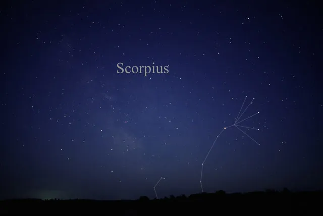 Scorpio Horoscope 24 Feb 2026