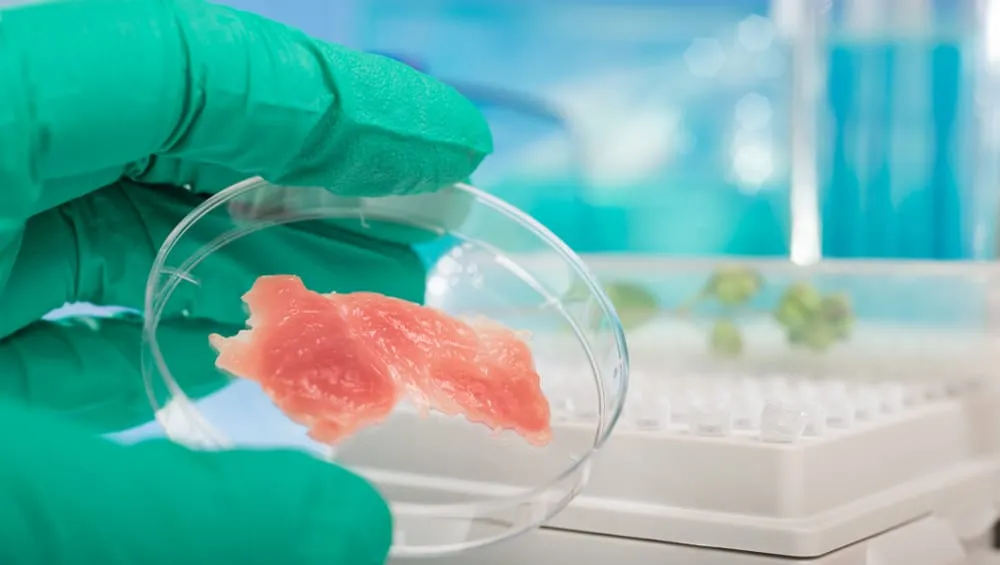 South Dakota governor says no to ban on lab meat