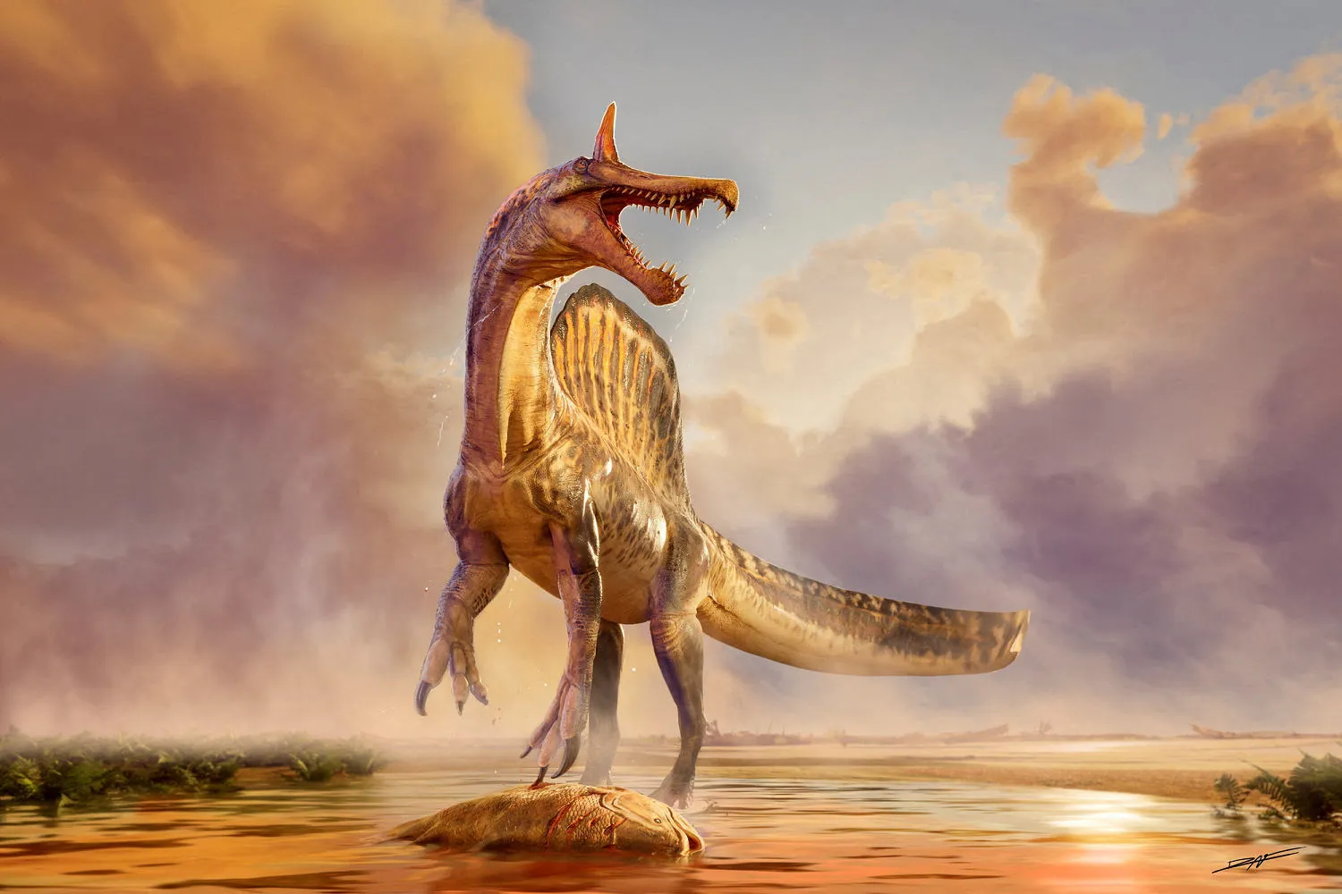 Meet Africa's 'hell heron': New spinosaurus species that hunted fish discovered in Sahara