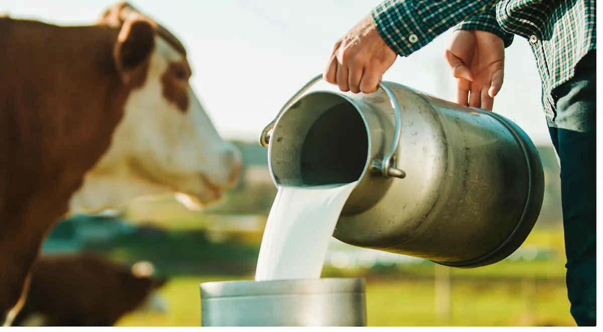 States' legislation on raw milk sales moving forward
