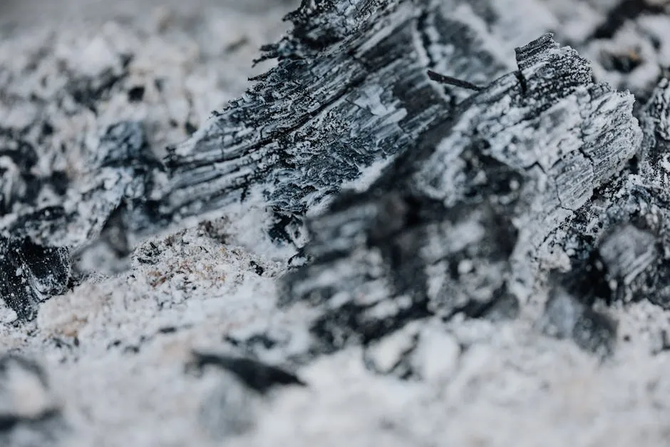 The Tennessee Valley Authority Produced a Booklet Downplaying Coal Ash Risks. Top Researchers Call it ‘Dishonest.’