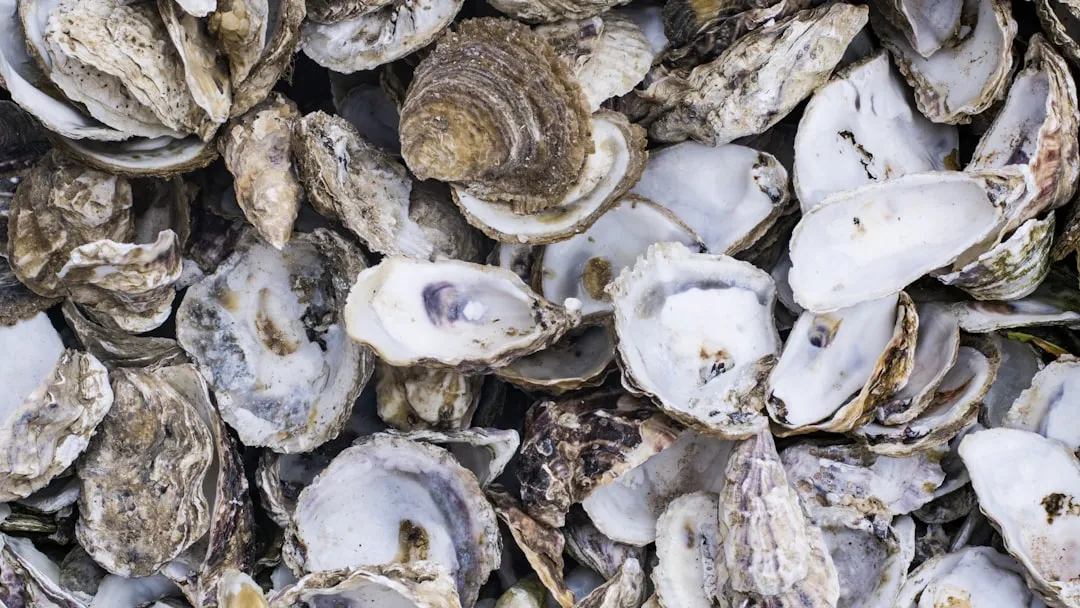 FDA expands warning about oysters from Canada