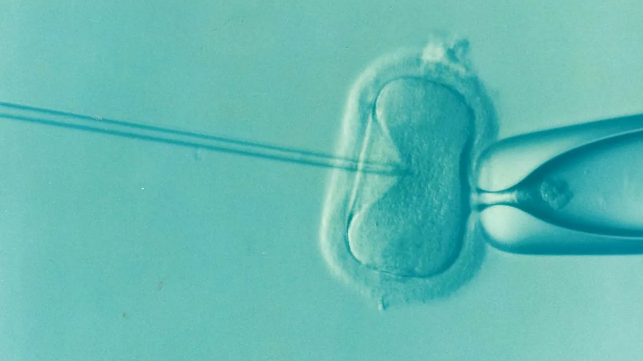 Uterine aging plays a critical hidden role in IVF outcomes [PODCAST]