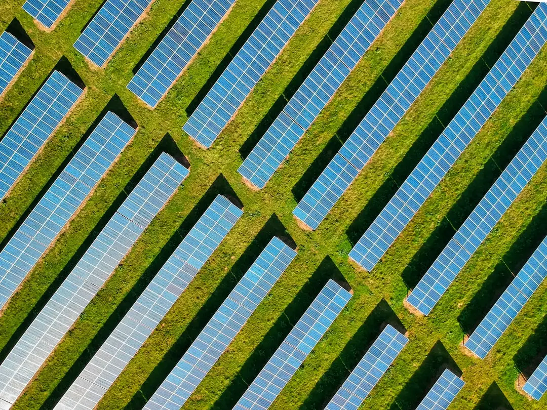 Why farmers in California are backing a giant solar farm