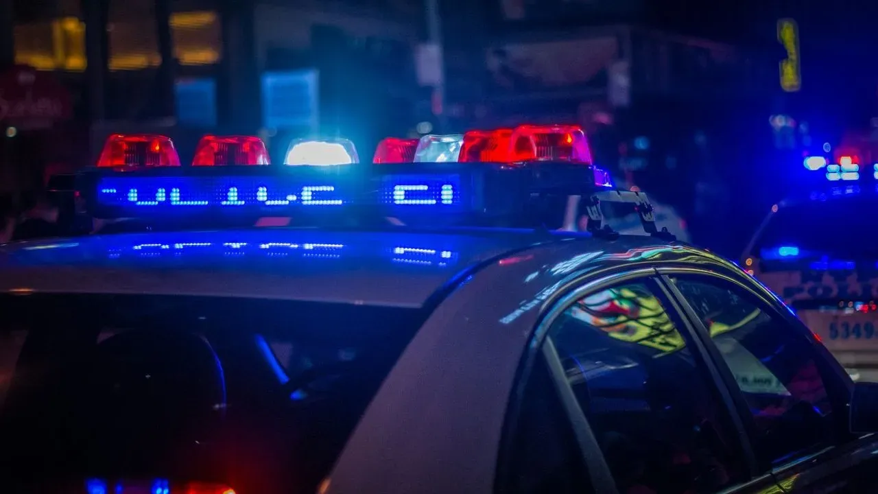 Domestic violence suspect hides in haystack as California cops use clever tactic to find him