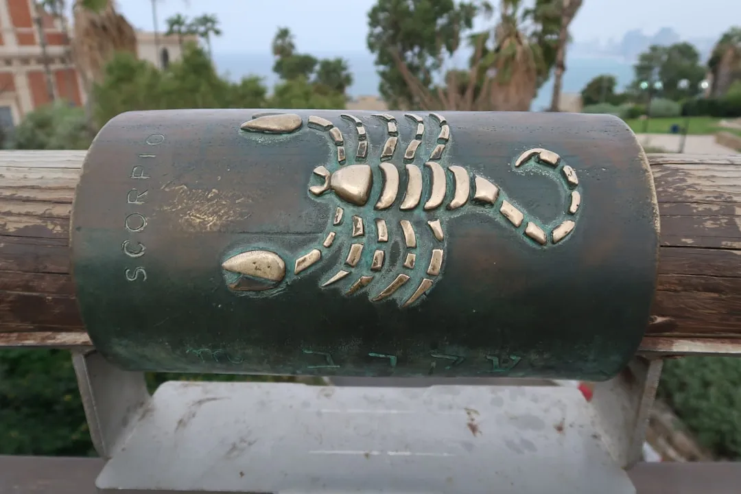 Scorpio Horoscope  25 Feb 2026