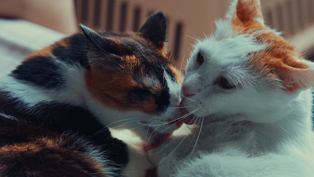 Social Bonding Through Mutual Grooming (Image Credits: Unsplash)