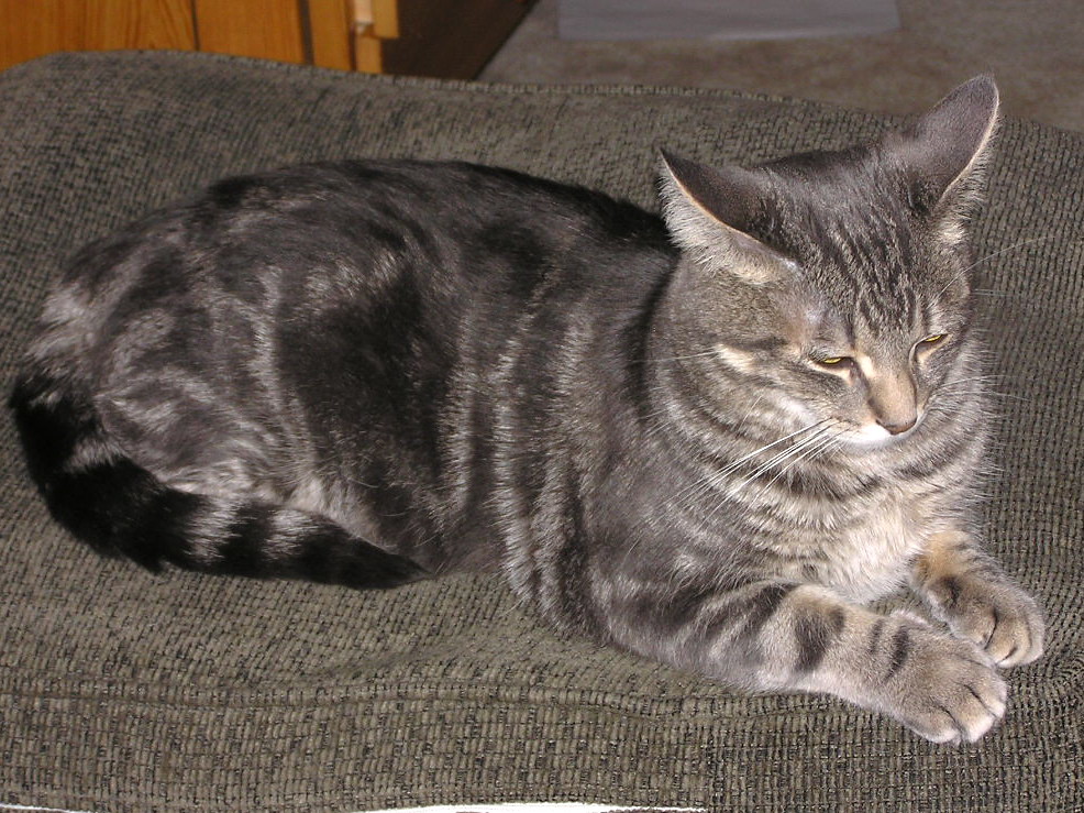 Synchronicity and Intuitive Timing (Image Credits: Flickr)