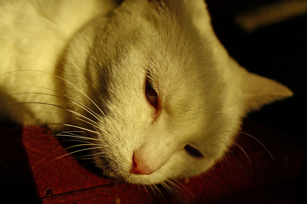 Conclusion (Image Credits: Flickr)