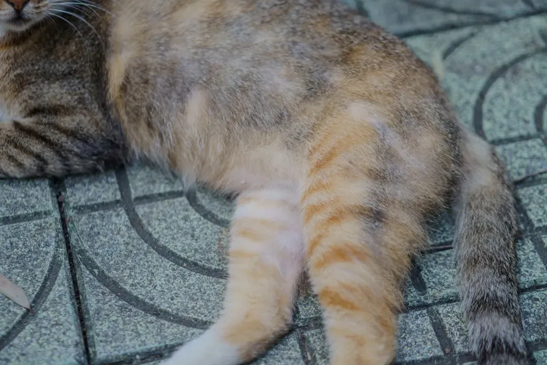 The Belly Exposure: Ultimate Vulnerability As Trust (Image Credits: Unsplash)