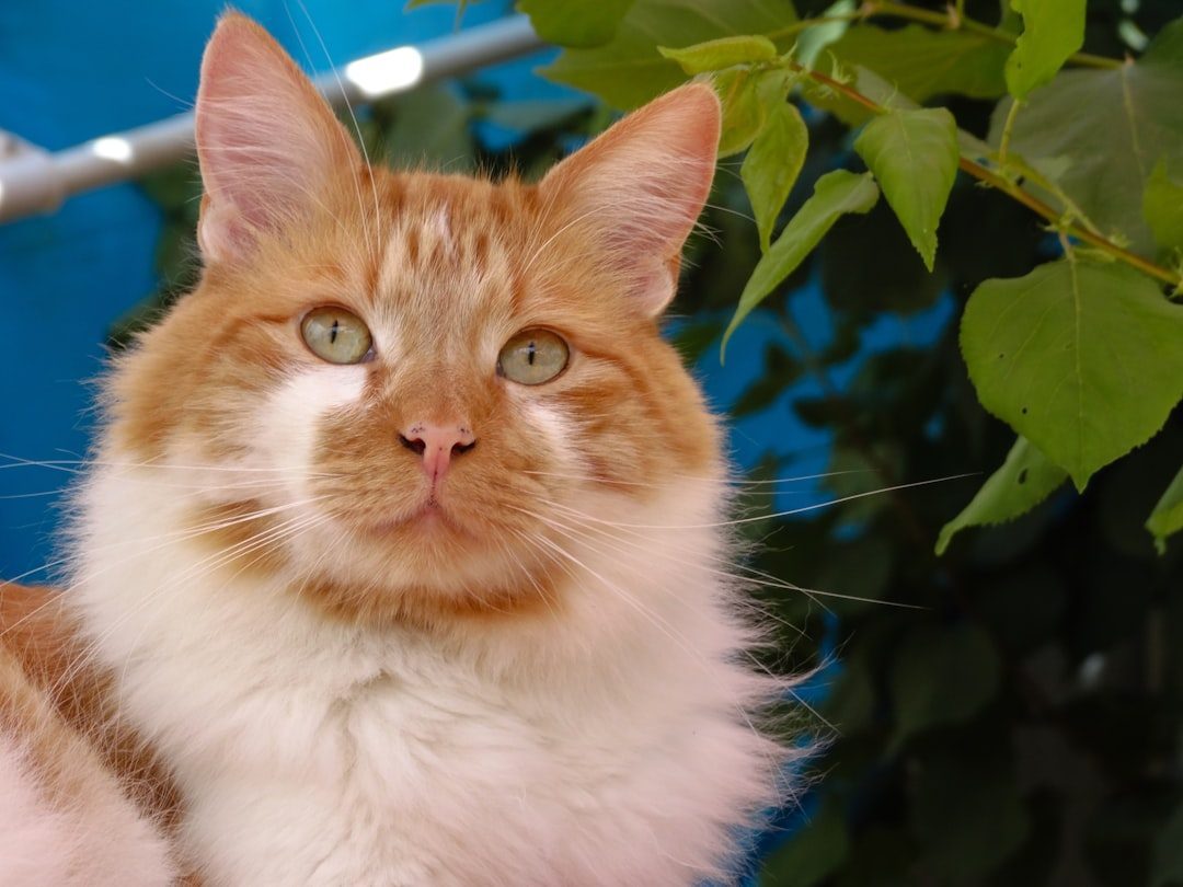 Using Strongly Scented Products (Image Credits: Unsplash)