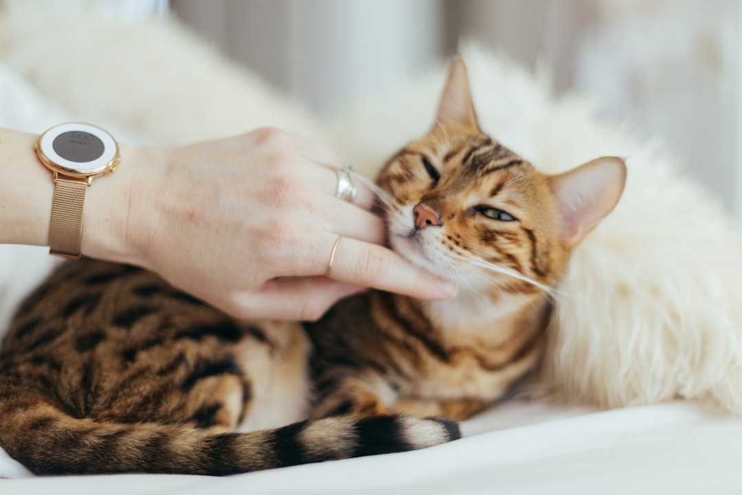 The Warmth of Your Touch and Affection (Image Credits: Unsplash)