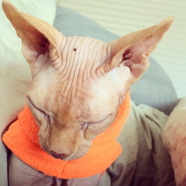 Their Vulnerability Creates Opportunities for Mutual Emotional Support (Image Credits: Flickr)