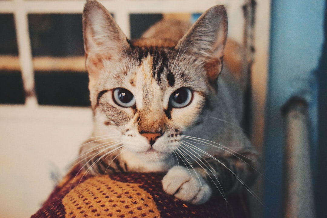 Attention-Seeking Performances and Show-Off Behavior (Image Credits: Unsplash)