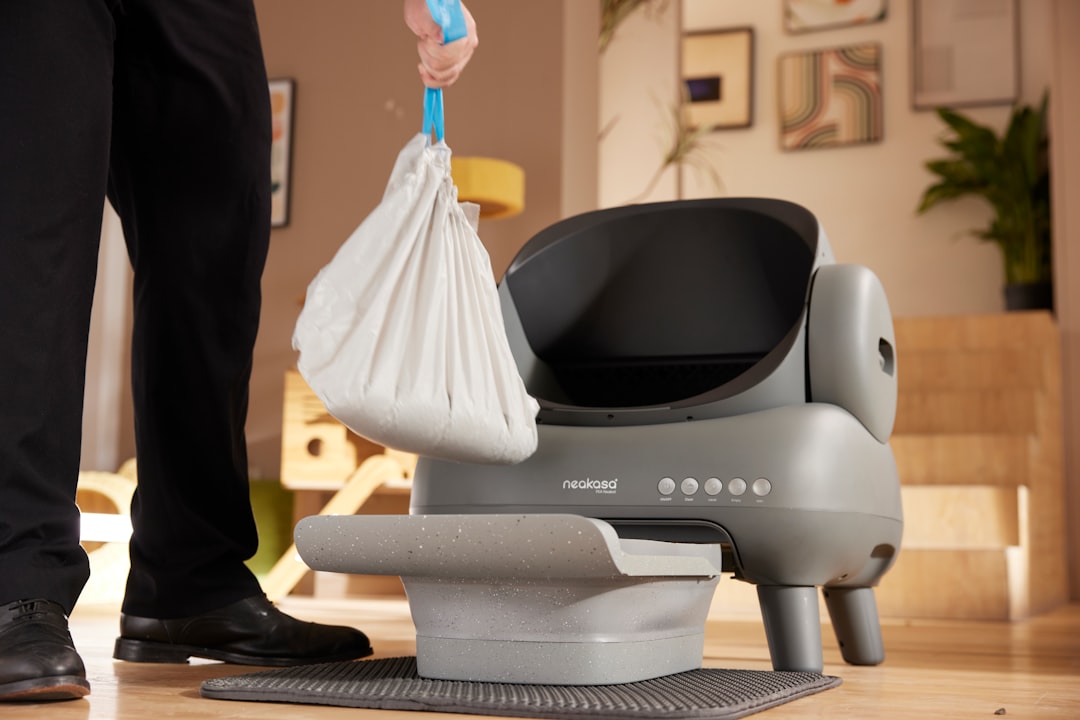 Daily Litter Box Maintenance (Image Credits: Unsplash)