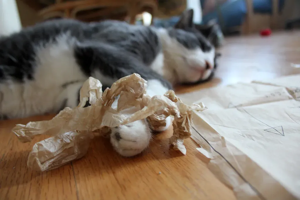 Crumpled Paper and Receipts (Image Credits: Flickr)