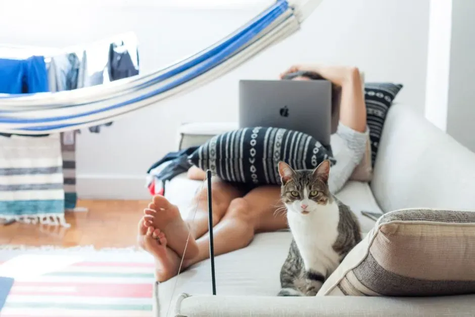 They Crave Warmth and Comfort, Not Constant Touch (Image Credits: Pexels)
