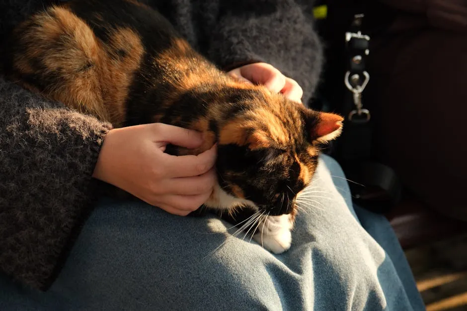 They Knead You With Their Paws (Image Credits: Pexels)