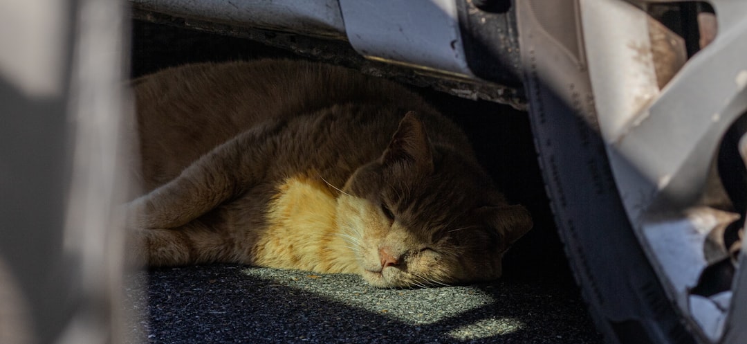 Pain or Illness Triggers Location Changes (Image Credits: Unsplash)